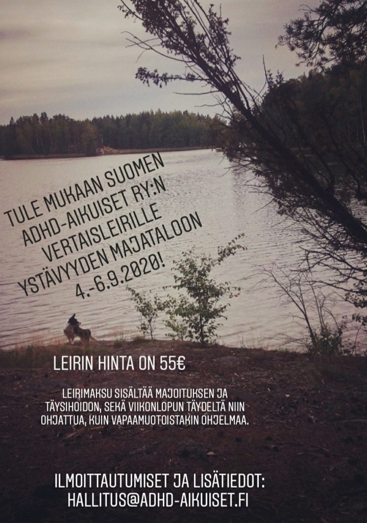Adhd Aikuisten Leiri 2020 1 719x1024